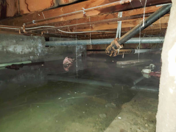 Reliable TX Water damage restoration Solutions