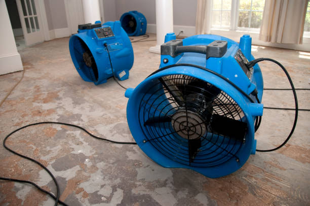 Best Water damage restoration near me  in Duncanville, TX