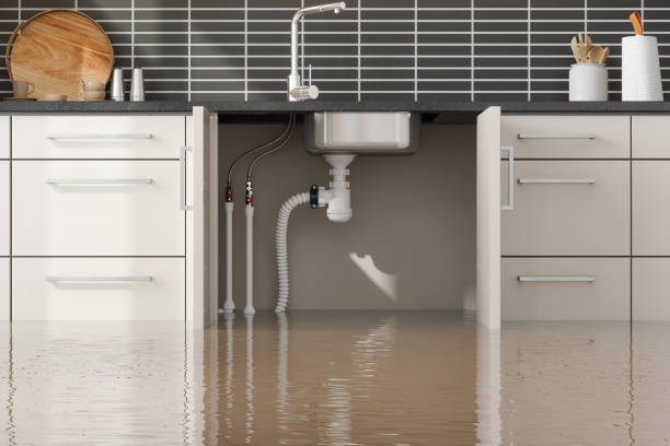 Best Water damage restoration near me  in Duncanville, TX