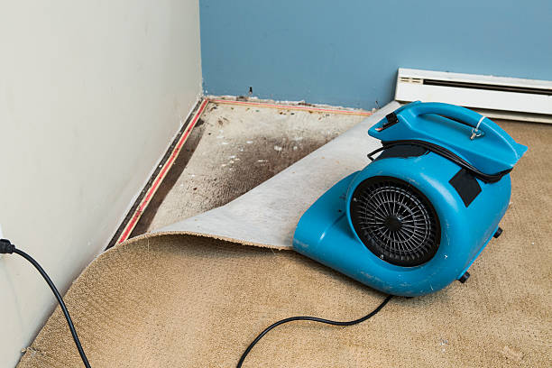 Best Basement water damage restoration  in Duncanville, TX